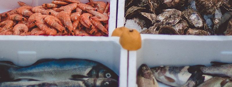 choose reusable plastic containers for fish to protect your sensitive products